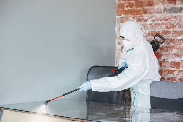 Professional Mold Removal & Remediation in Heritage Lake, IL